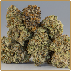 Mendo Breath Buds